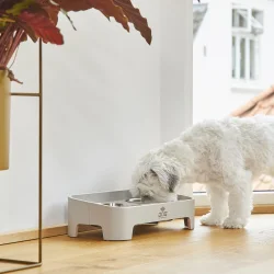 Skagen Food Bar | Oak