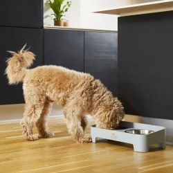 Skagen Food Bar | Oak