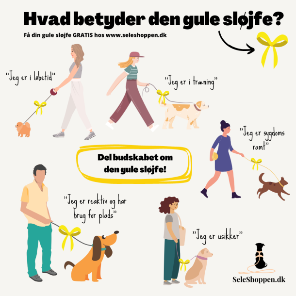 Gratis Gul Sljfe 