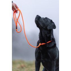 Retriever hundesnor - Orange