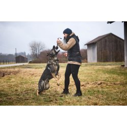 Non-stop Dogwear - Solid adjustable collar wd