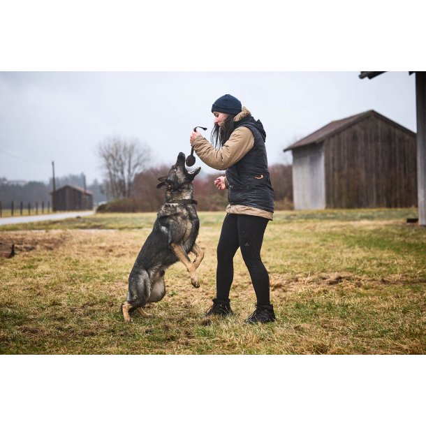 Non-stop Dogwear - Solid adjustable collar wd