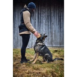 Non-stop Dogwear - Solid adjustable collar wd