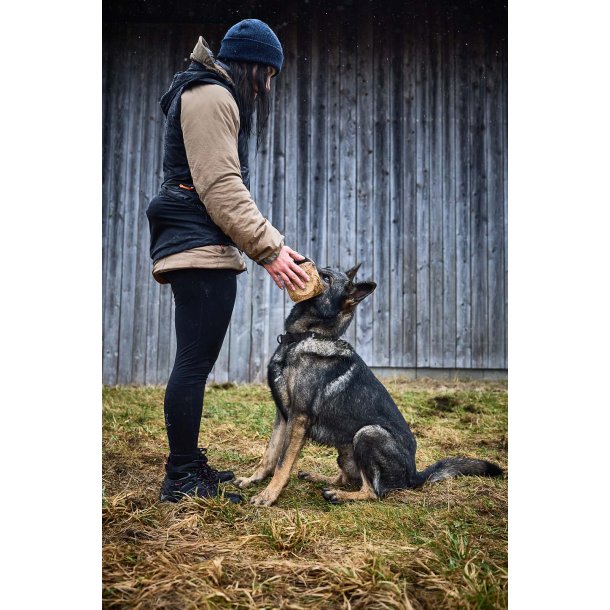 Non-stop Dogwear - Solid adjustable collar wd