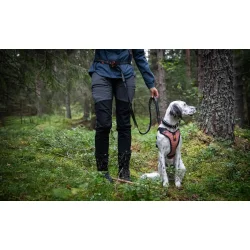 Non-stop - Touring bungee adjustable hundesnor