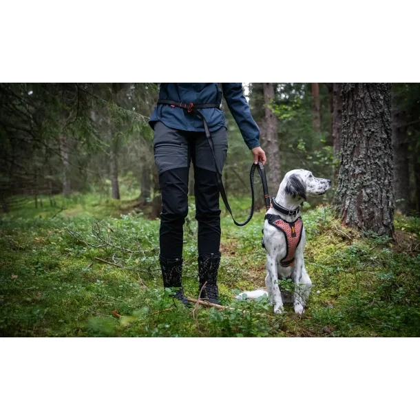 Non-stop - Touring bungee adjustable hundesnor