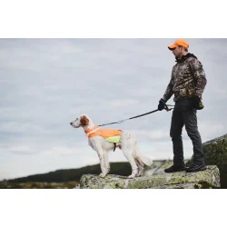 Non-stop - Touring bungee adjustable hundesnor