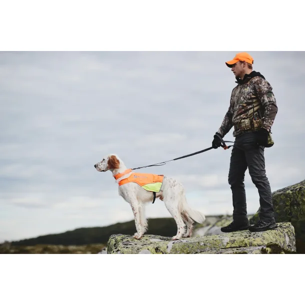 Non-stop - Touring bungee adjustable hundesnor