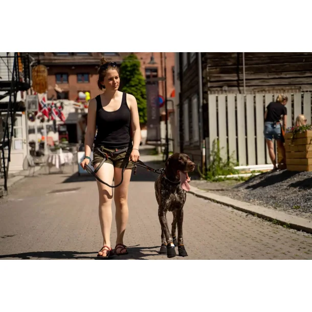 Non-stop - Touring bungee adjustable hundesnor