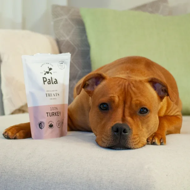 PALA TREATS 100% Kalkun, 100g