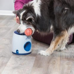 Dog Activity Ball &amp; Treat strategy game