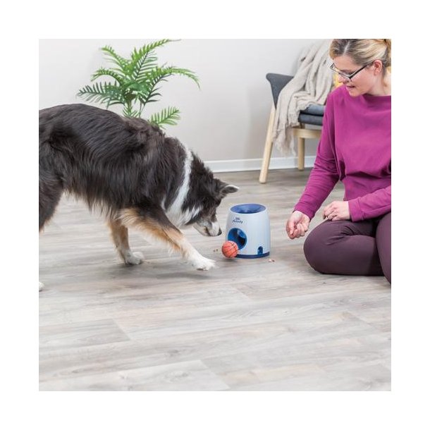 Dog Activity Ball &amp; Treat strategy game
