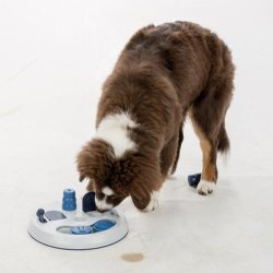Dog Activity Flip Board