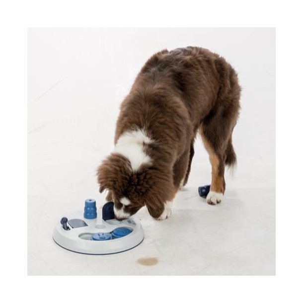Dog Activity Flip Board