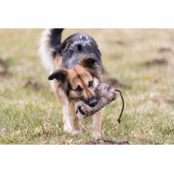 Snack trningsdummy i kunstig vegansk pels 