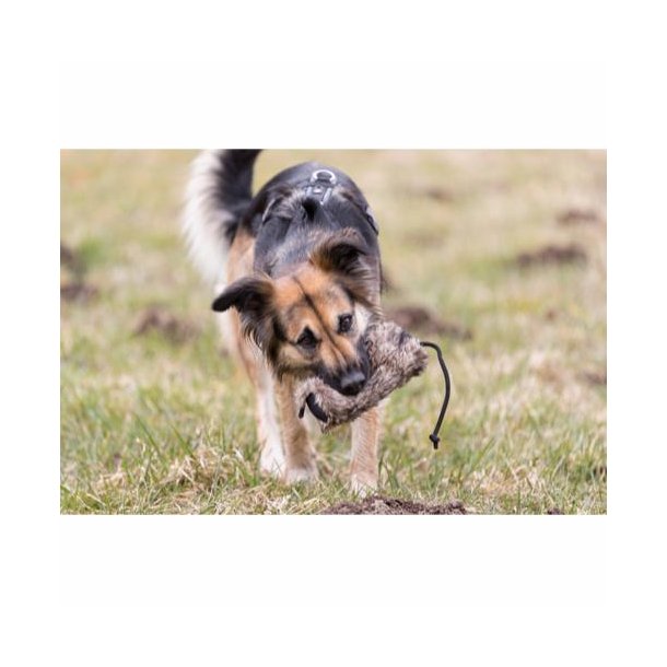 Snack trningsdummy i kunstig vegansk pels 