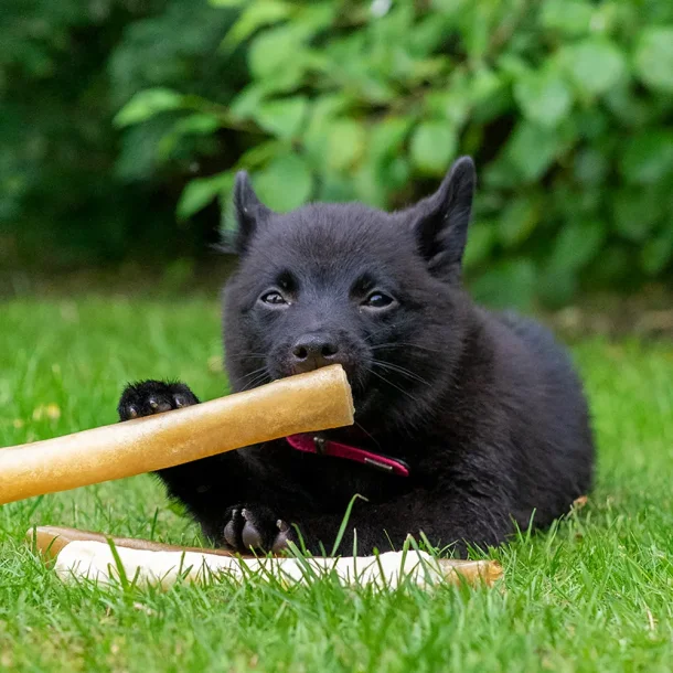 Tyggerulle Puppy - 18cm