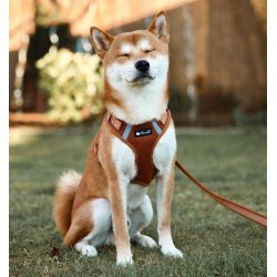 Petlando Mesh Vest - Cognac