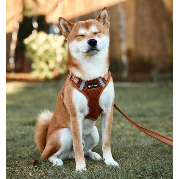 Petlando Mesh Vest - Cognac