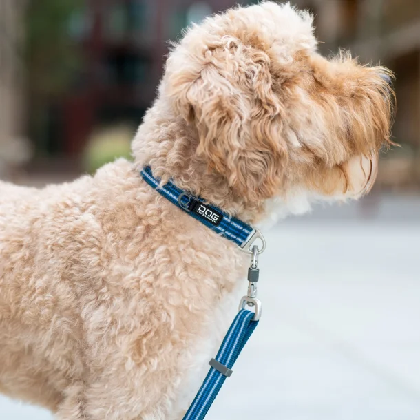 Urban Style Halsbnd - Purple passion