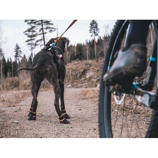 Non-Stop Dogwear Line Harness 5.0 - Lilla