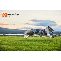 Non-Stop Dogwear Line Harness 5.0 - Teal